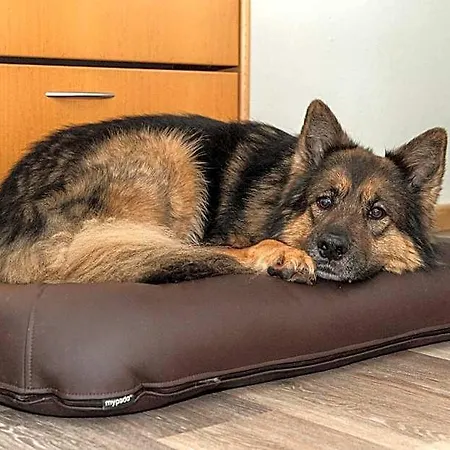 Aparthotel Ruegener Ferienhaeuser Am Hochufer 3*