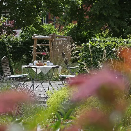 شقة فندقية Ruegener Ferienhaeuser Am Hochufer 3*